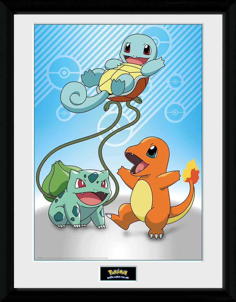 Kanto Starters Pokemon Framed Print
