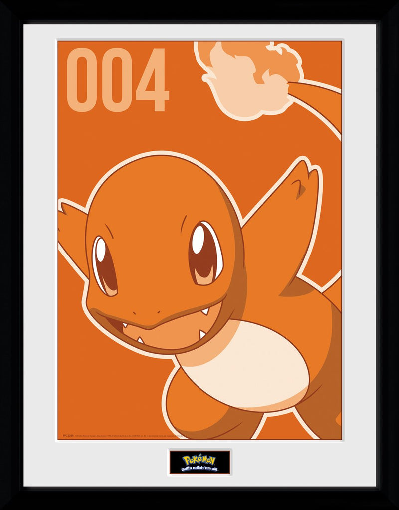 Fp Pokemon Mono Charmander