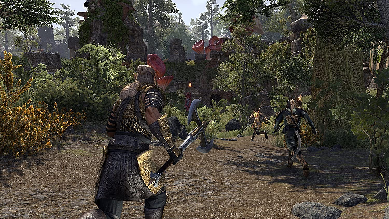 PS4: The Elder Scrolls Online: Morrowind