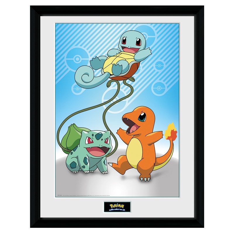 Kanto Starters Pokemon Framed Print